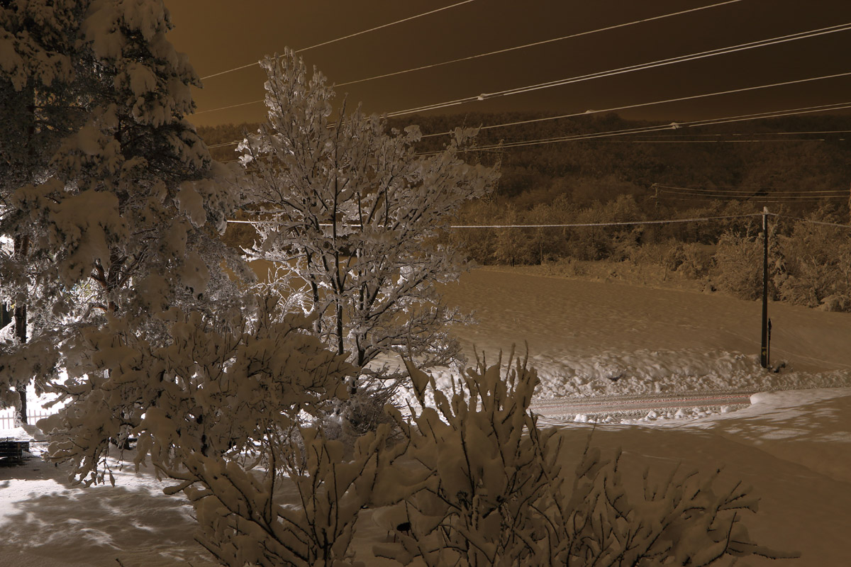 Varinella sotto la neve