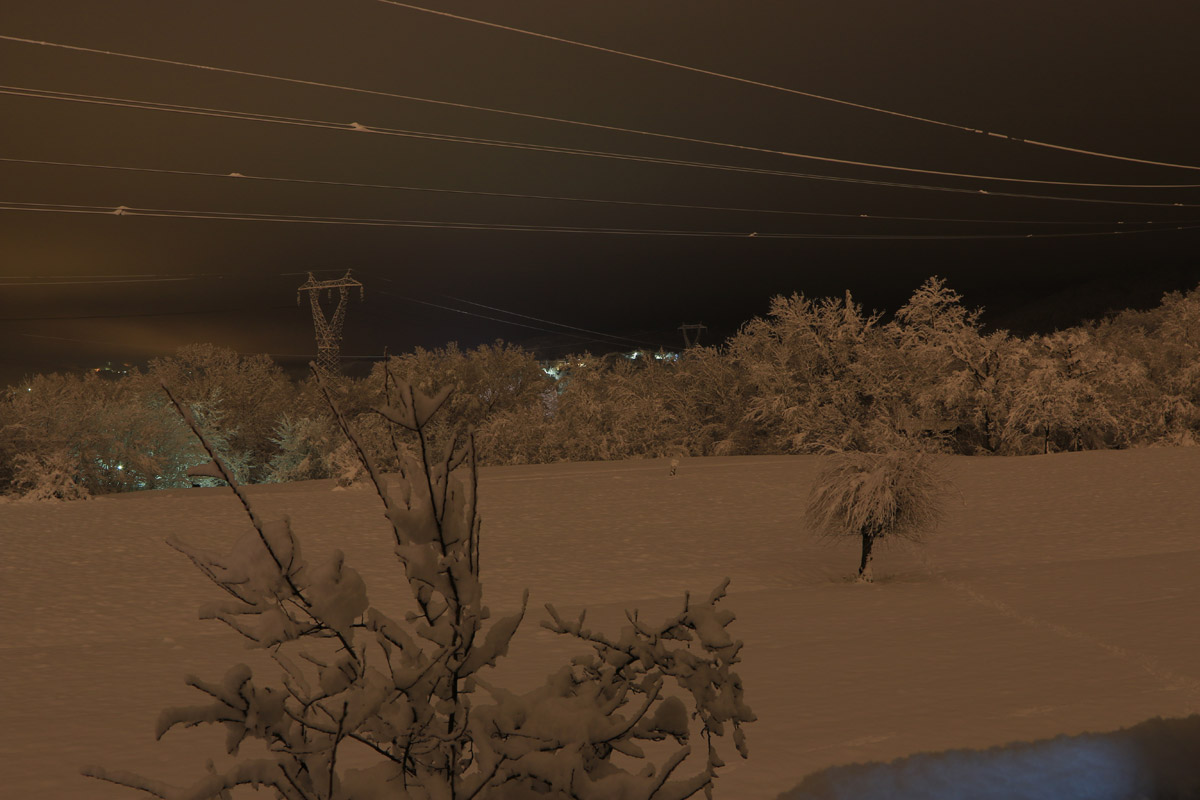 Varinella sotto la neve