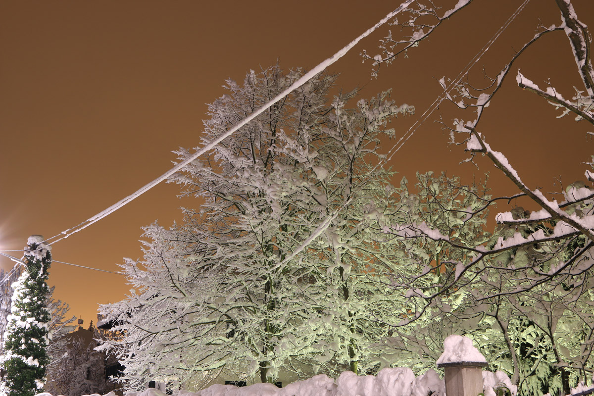 Varinella sotto la neve