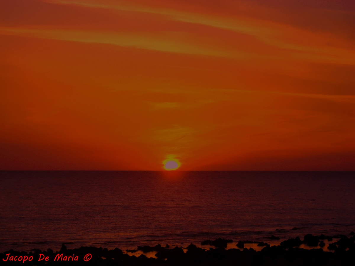 The Greatest Show ...