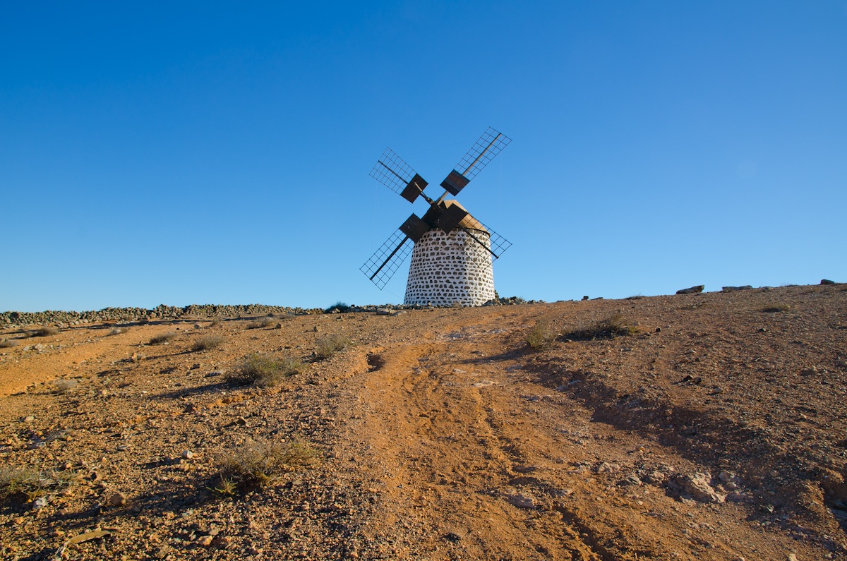 The way of the grain