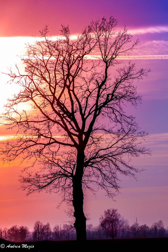 Parco sud Zibido San Giacomo MI