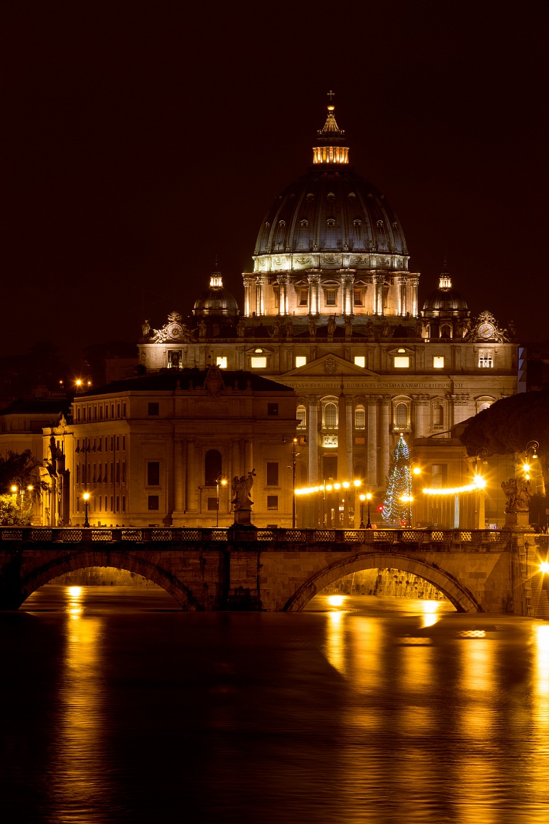 Piena del Tevere 31/01/2014