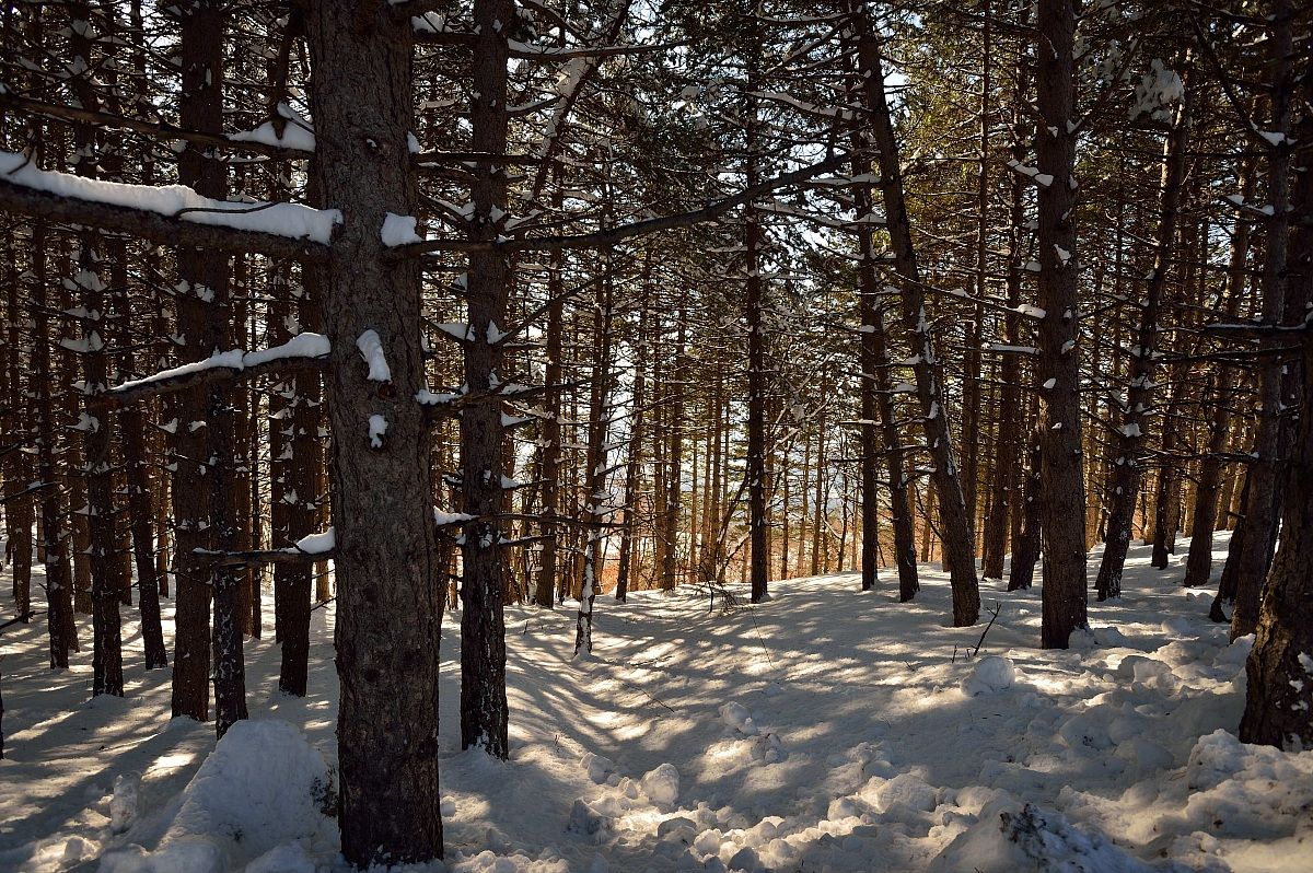 Bologna 2013 Monte venere
