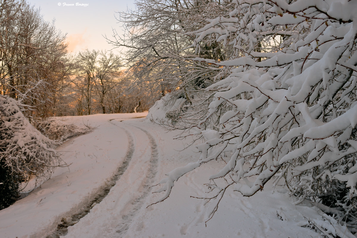 neve sulla strada