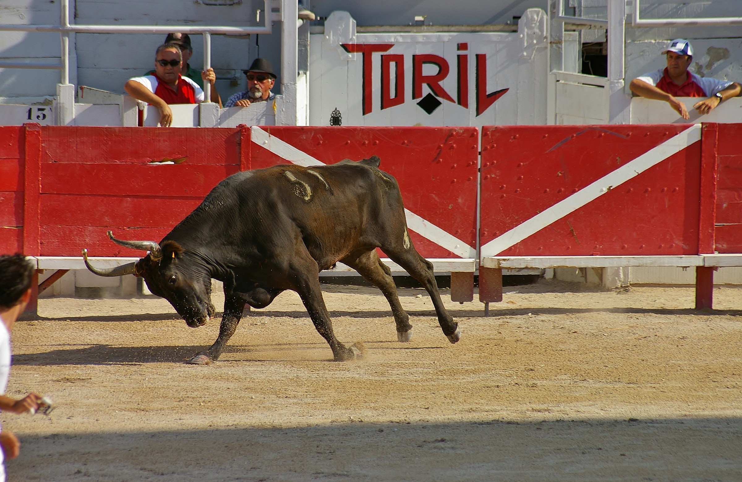 I'm here! pissed off!!