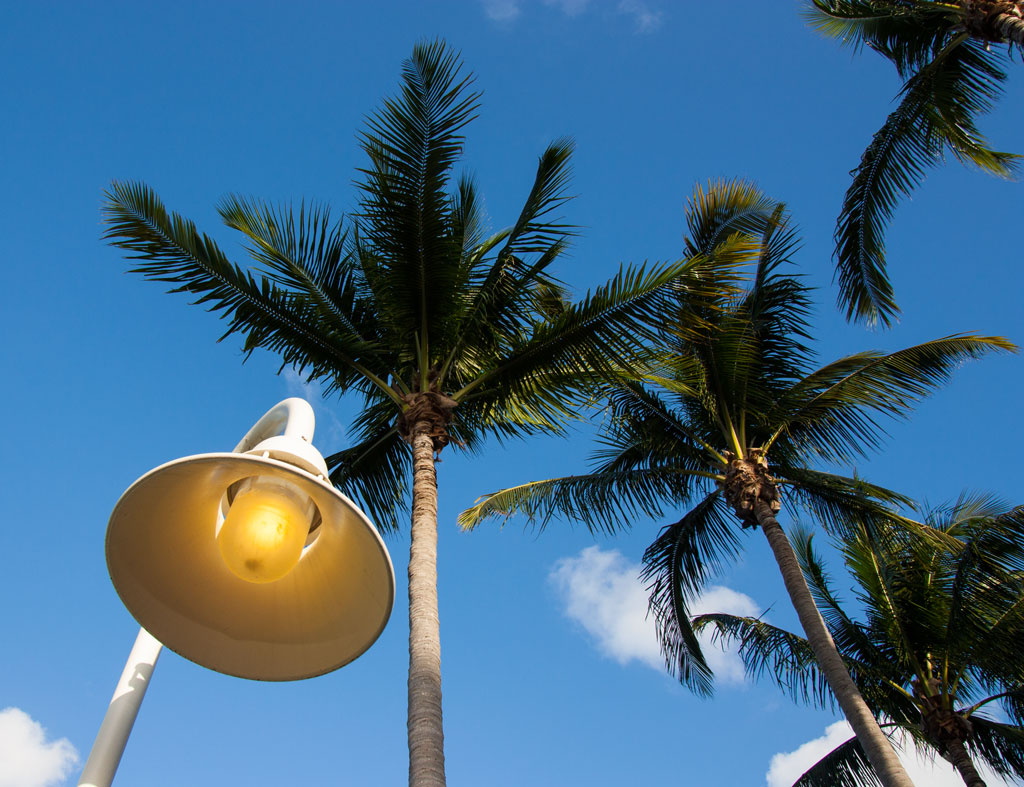 Miami from a different point of view