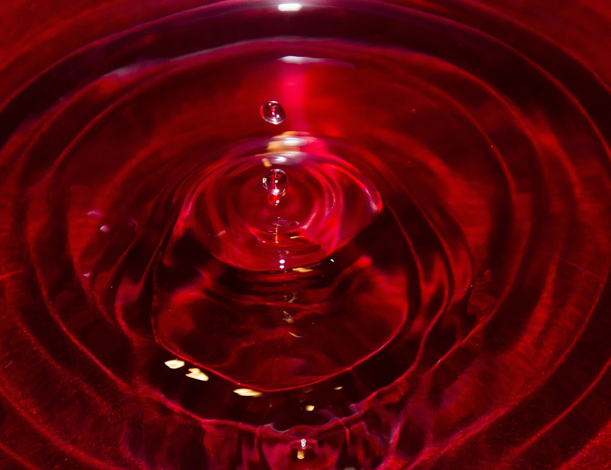 The rose in water
