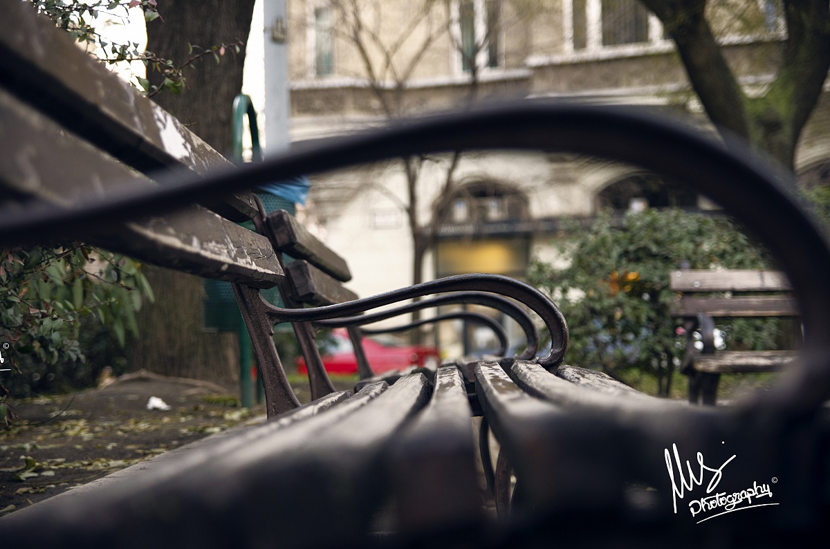 Budapest Bench