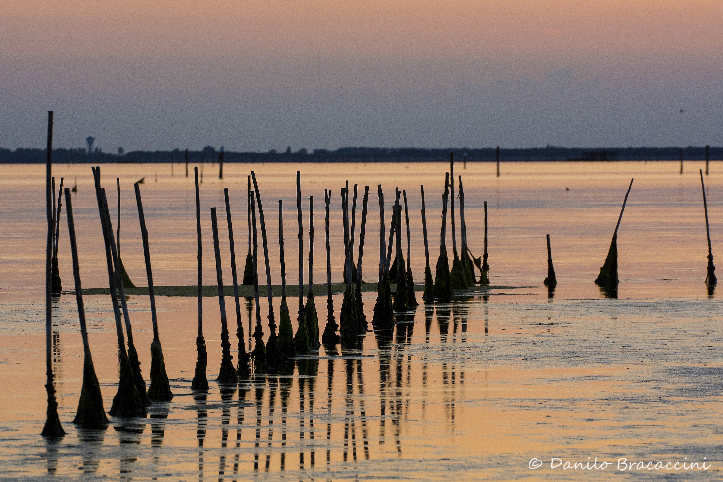Tramonto sul Delta