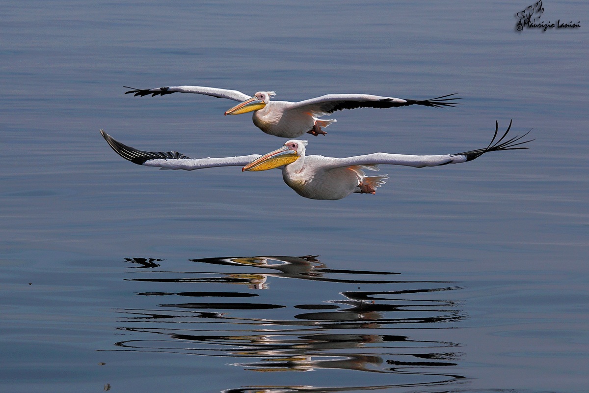 Strani riflessi sull'acqua