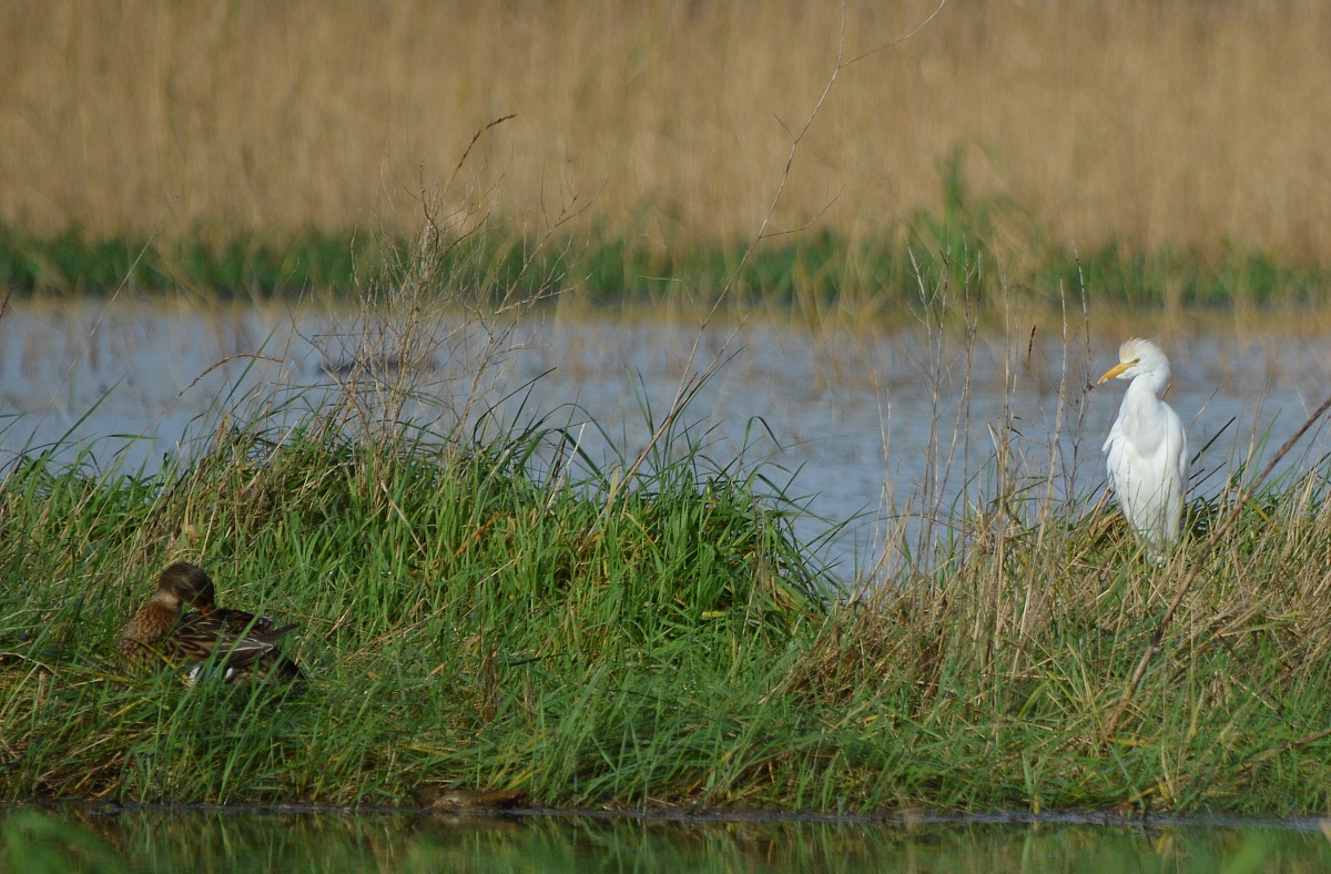 I am ... so much nicer!