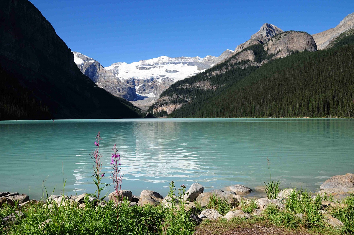 Lake Loise, Alberta Canada