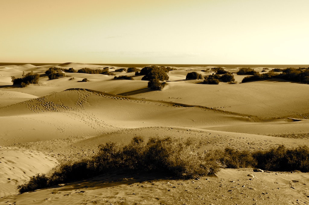Dune Maspalomas, Gran Canaria