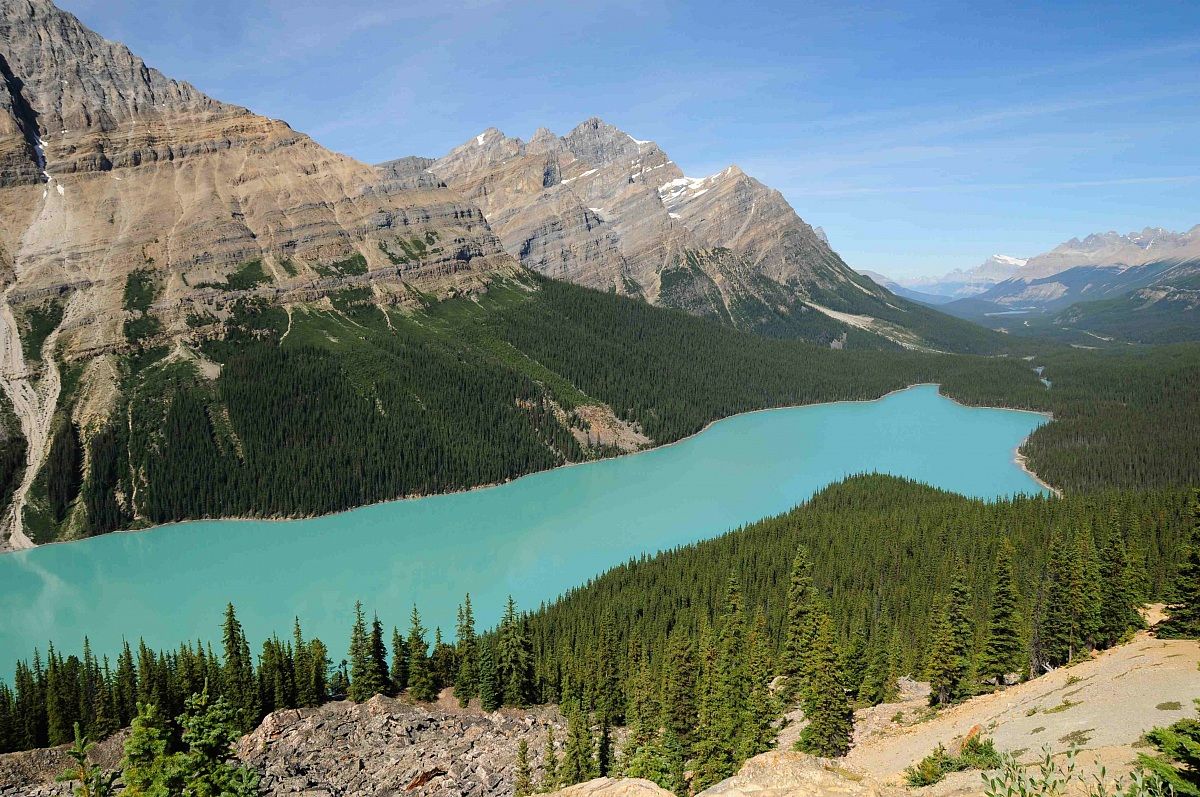 Peyto Lake, Alberta Canada