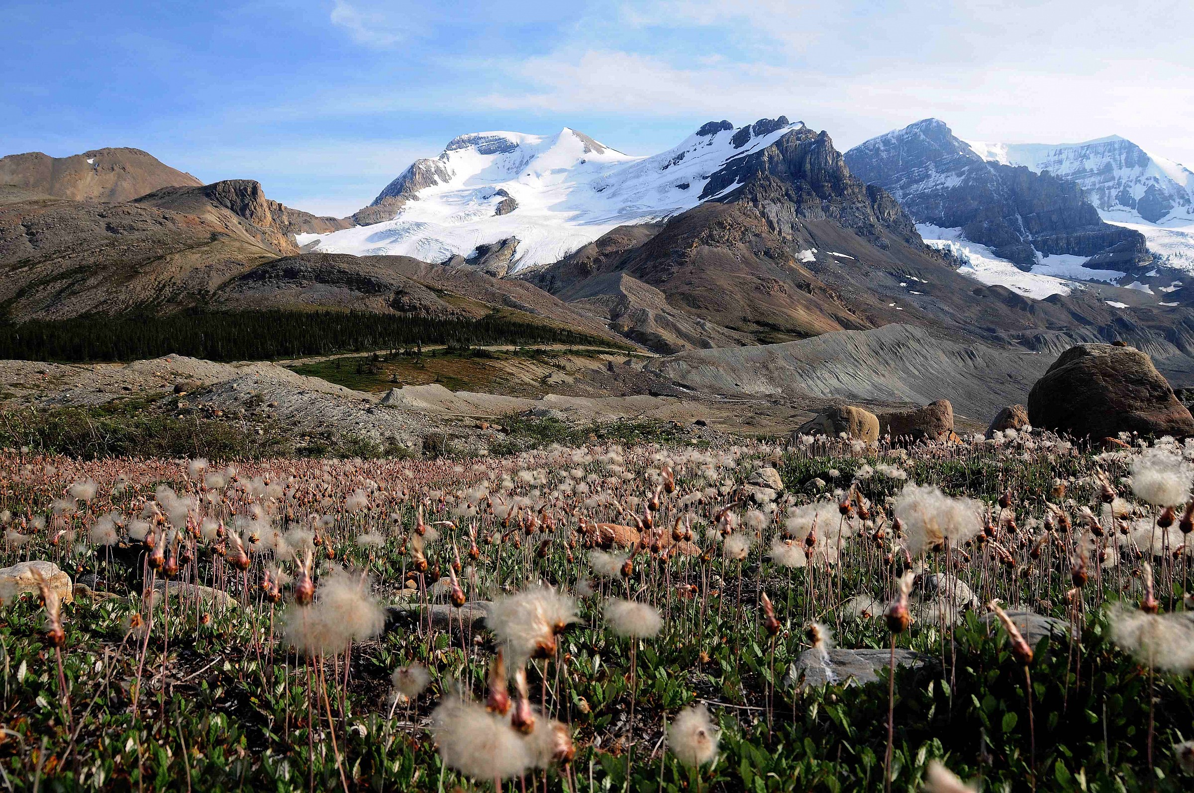 Columbia Icefield, Alberta Canada