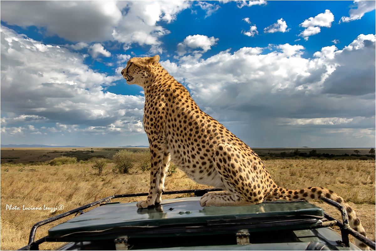 Una visuale migliore