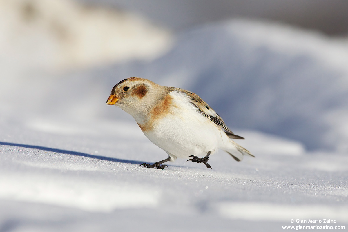...a scuola di tip-tap...