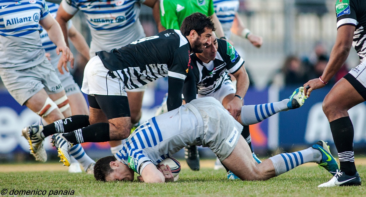 zebre vs saracens (heineken cup)