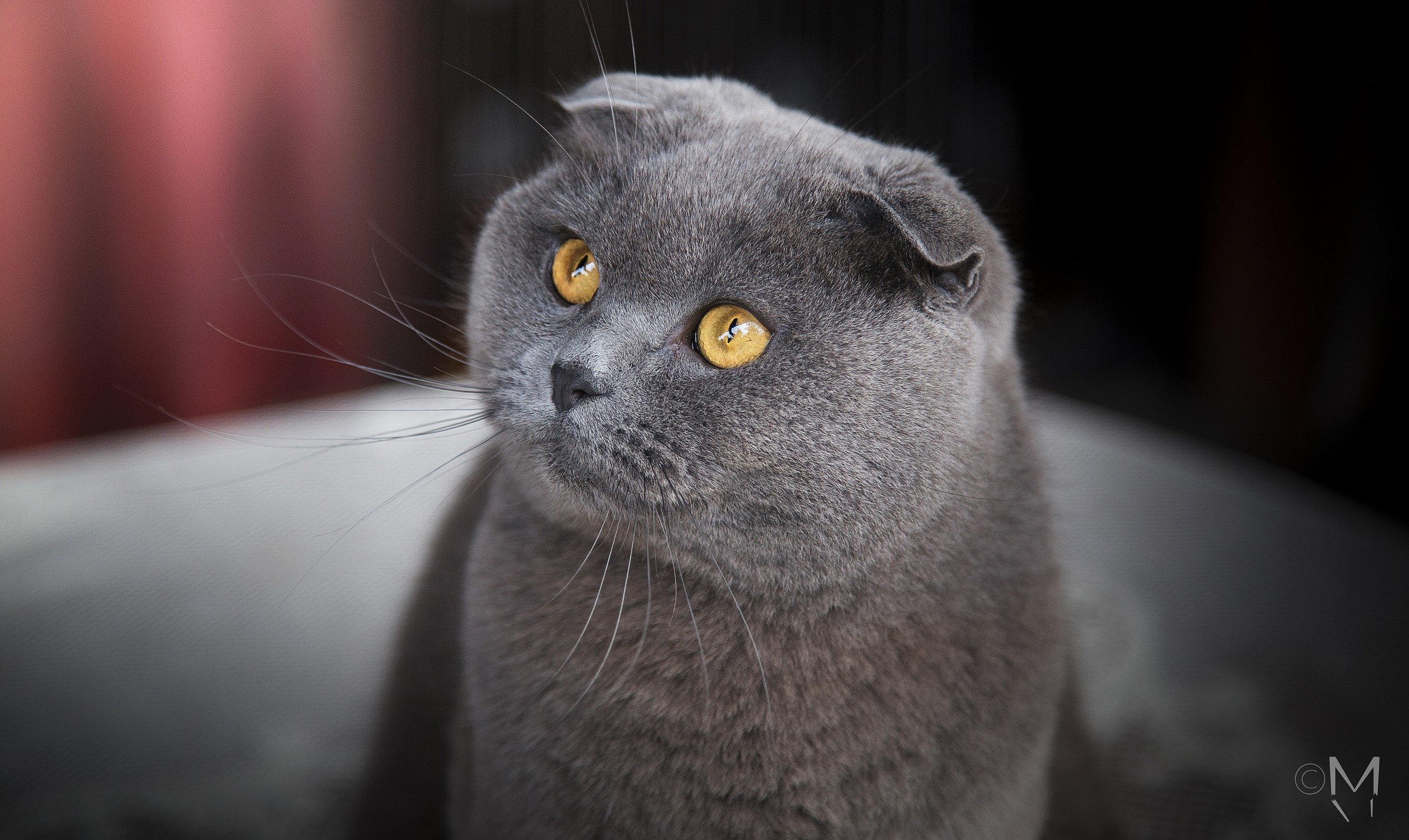 What are you watching?