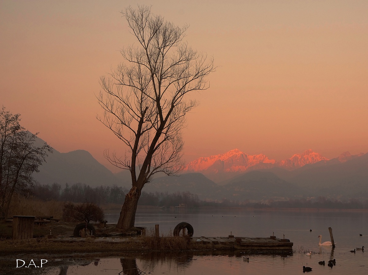Ultime luci sul lago