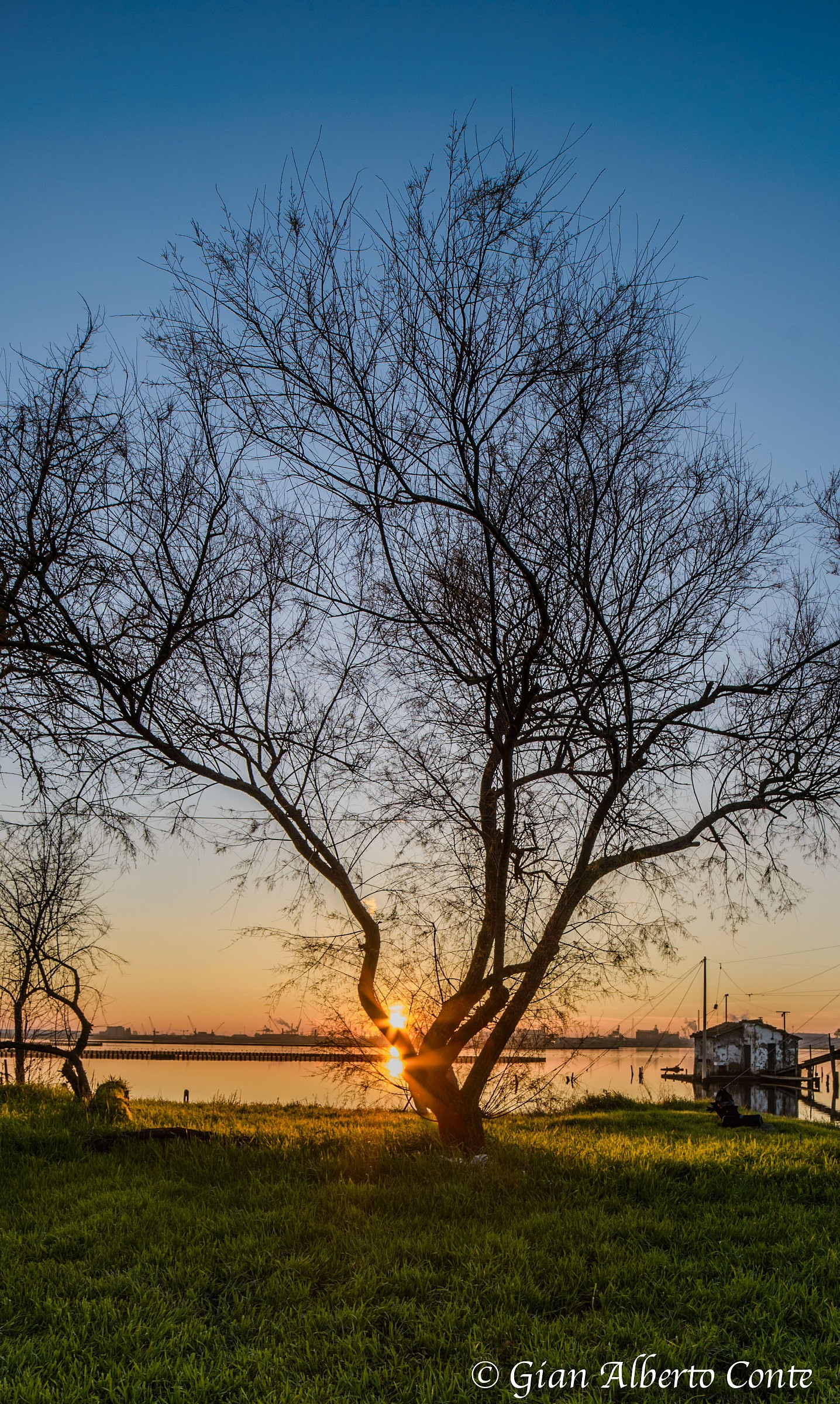 in many .... just ....