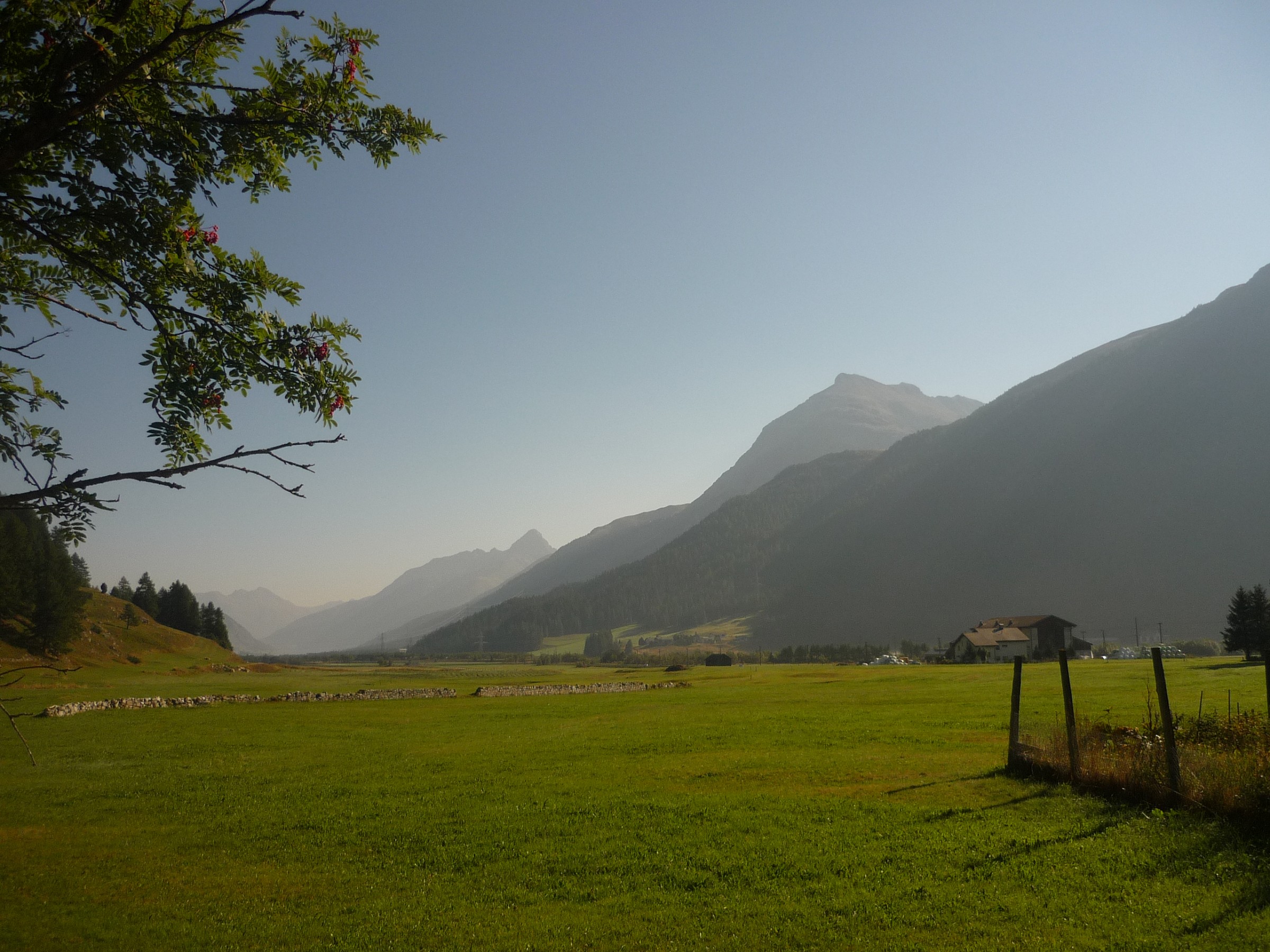 Prato in Engadina 2012