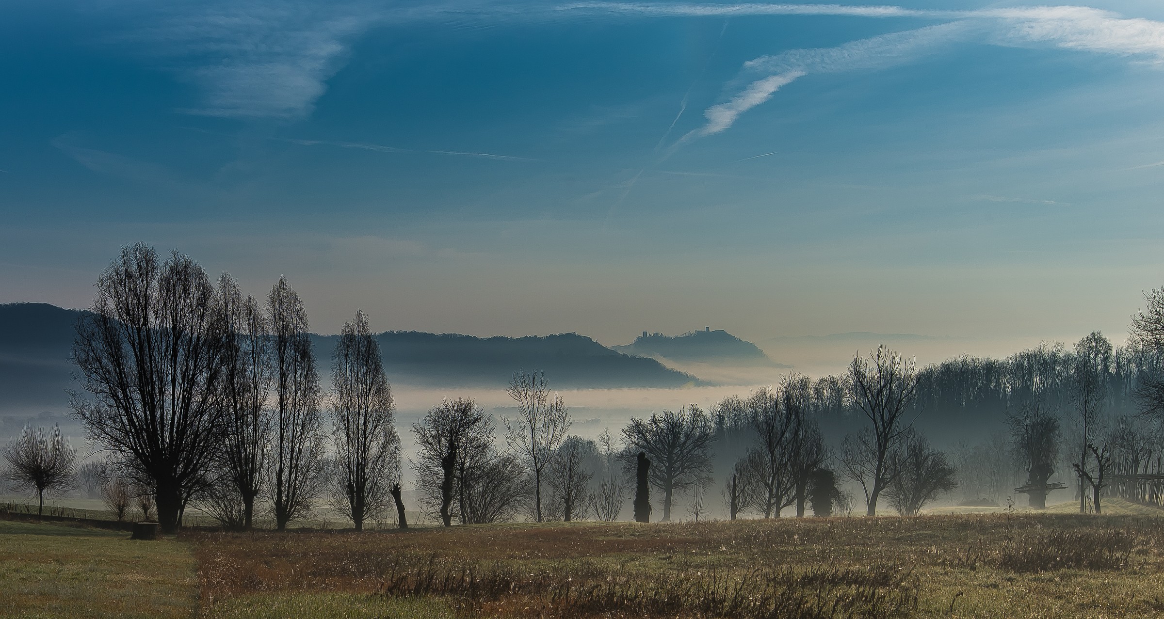 fog ... magical atmosphere