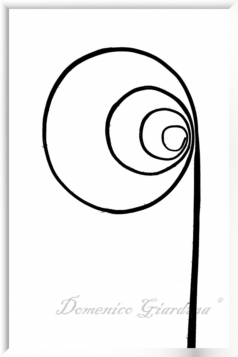 Spiral