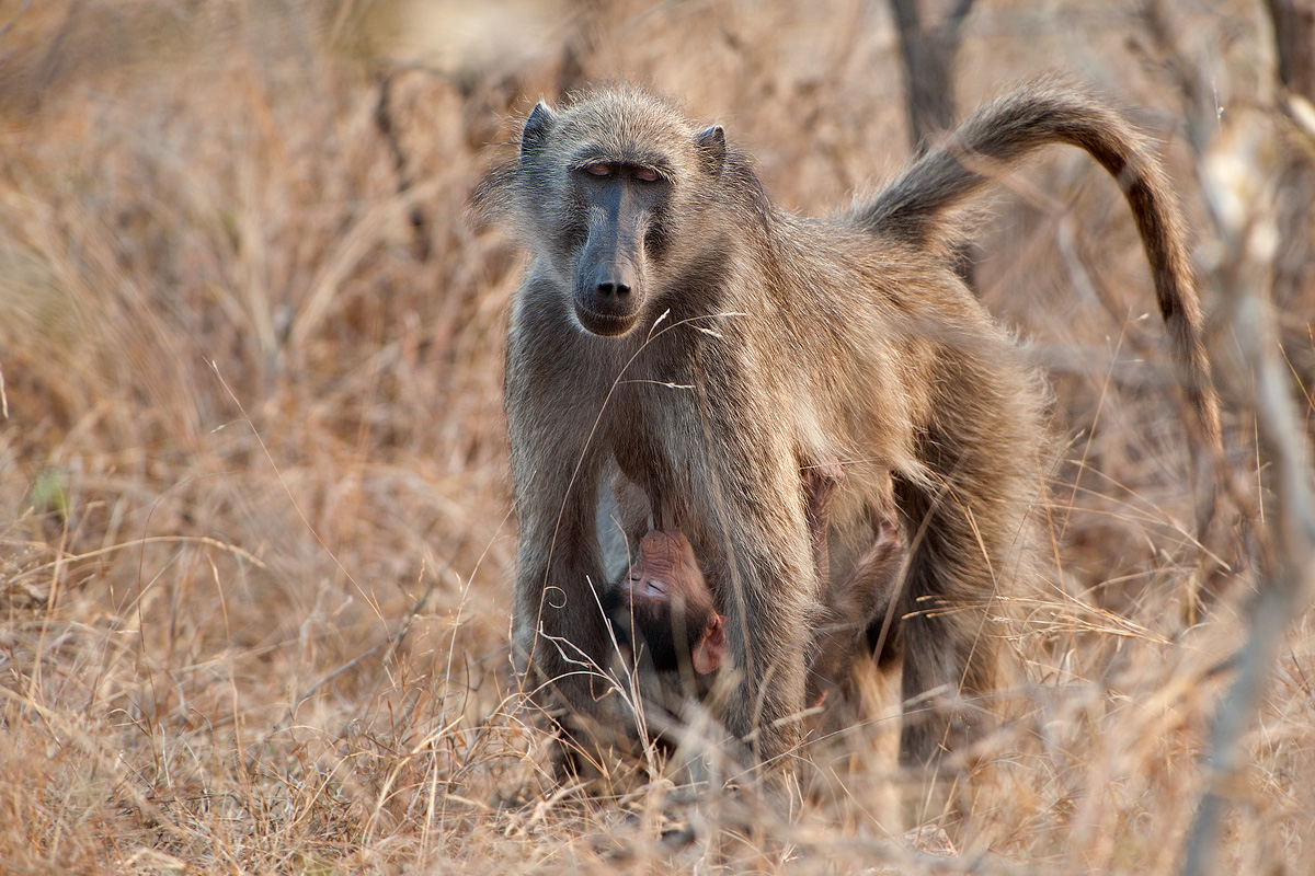 un attimo di rilassamento