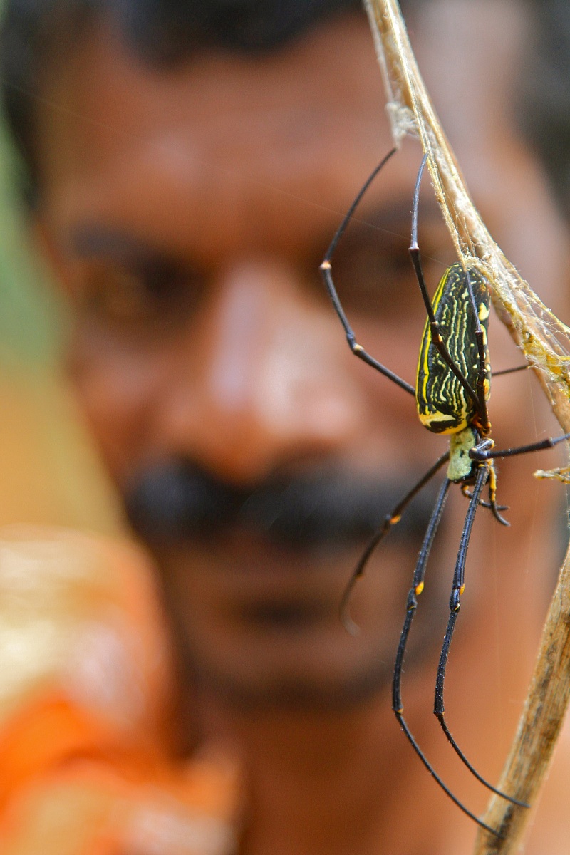 Chappan, tribal Kerala