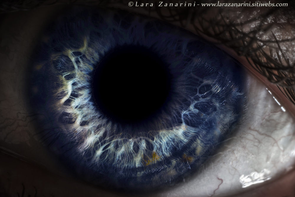 A look into the dark