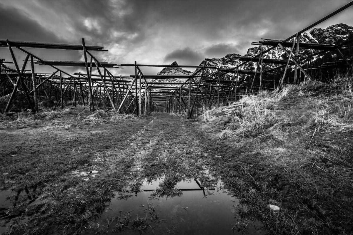 Prime prove di pp in bn, consigli ben accetti