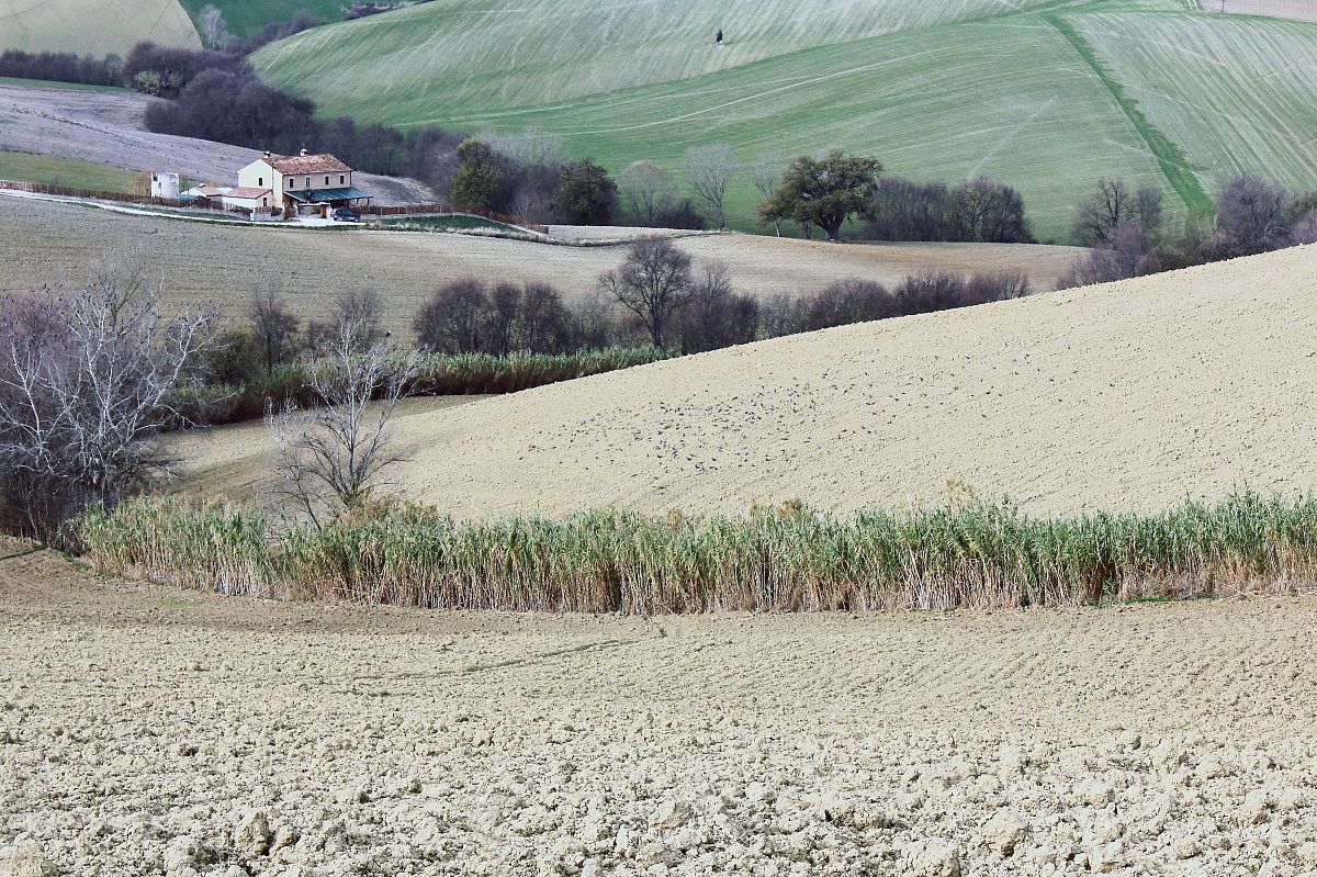 Marche countryside 2