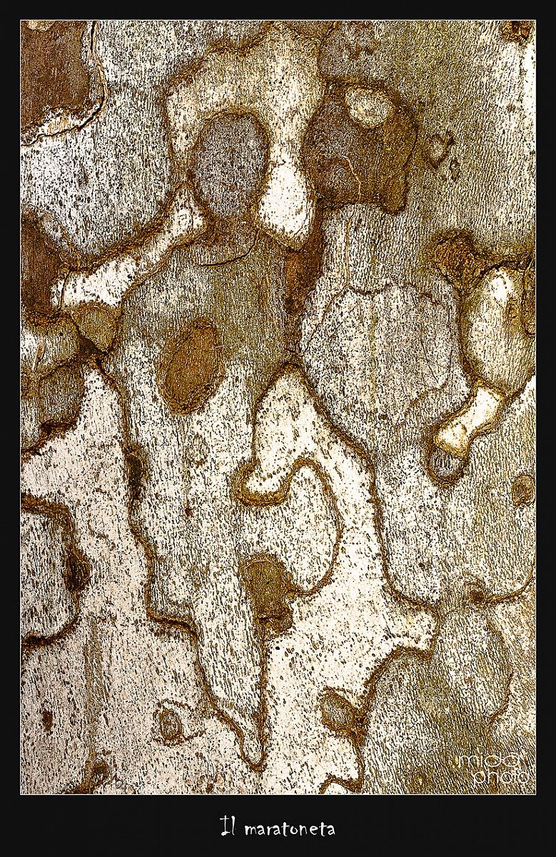 Il maratoneta
