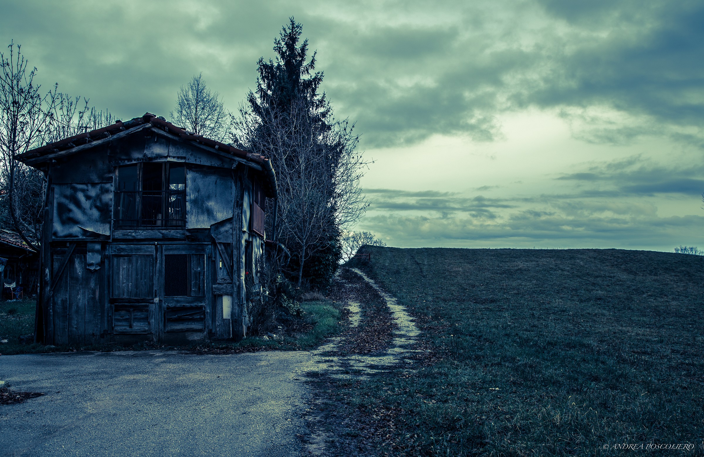 The Texas Chainsaw Massacre