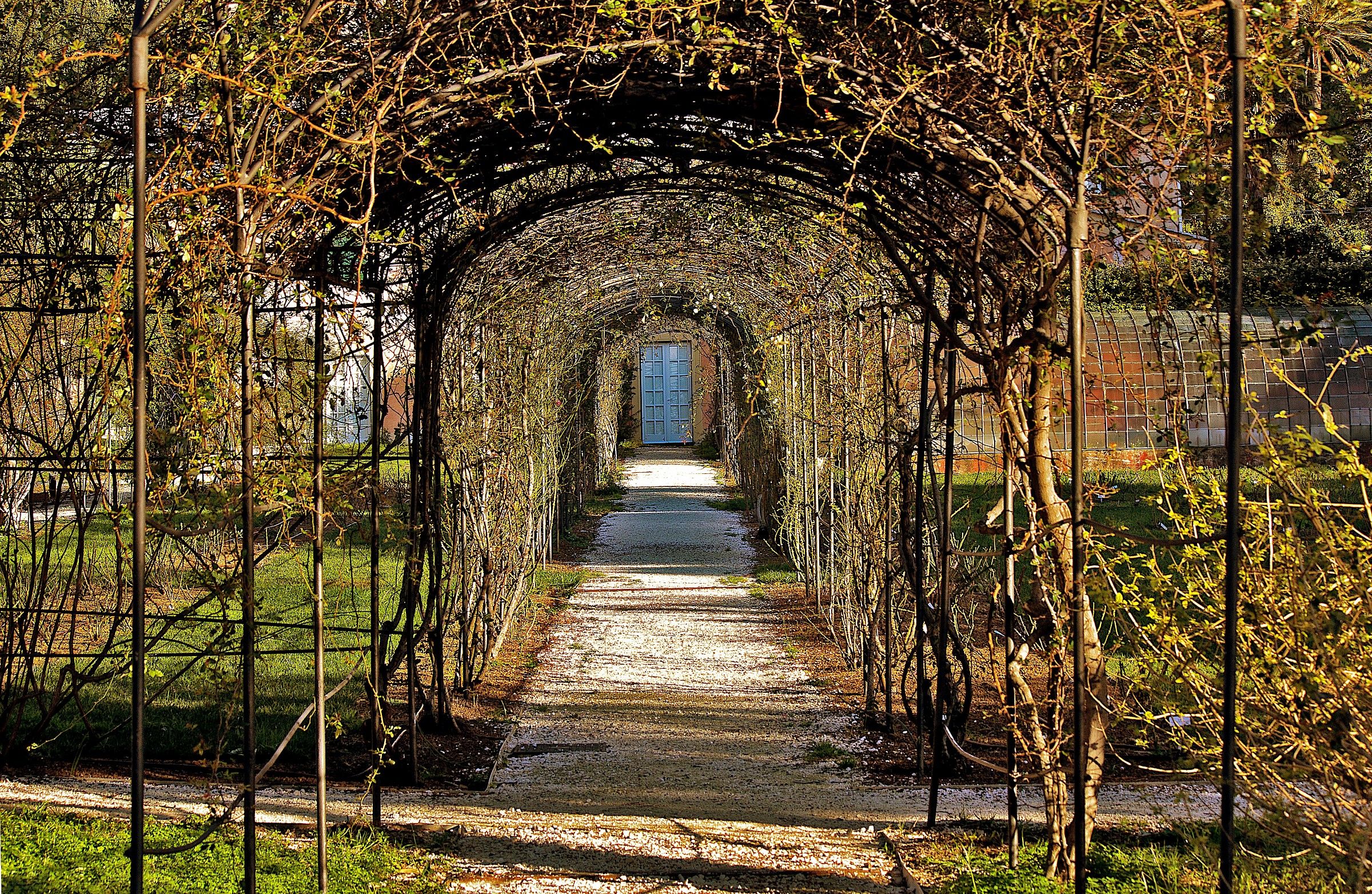 roseto(senza rose) di genova nervi