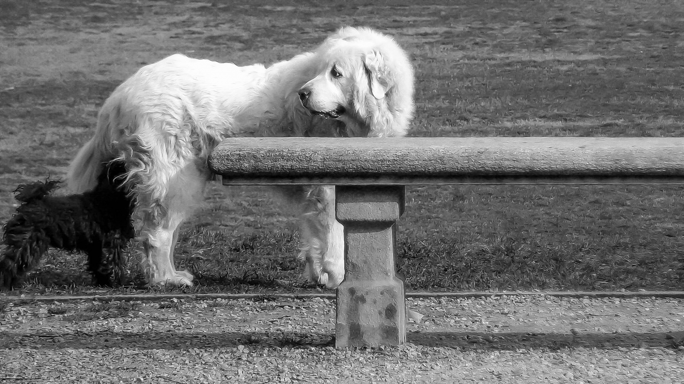 the pursuit of happiness ..............