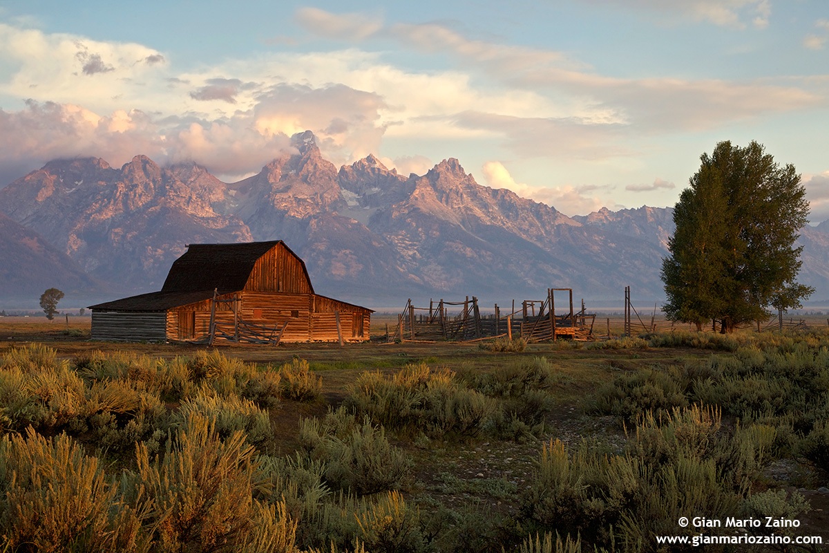 USA - Wyoming, Mormon Row - 03