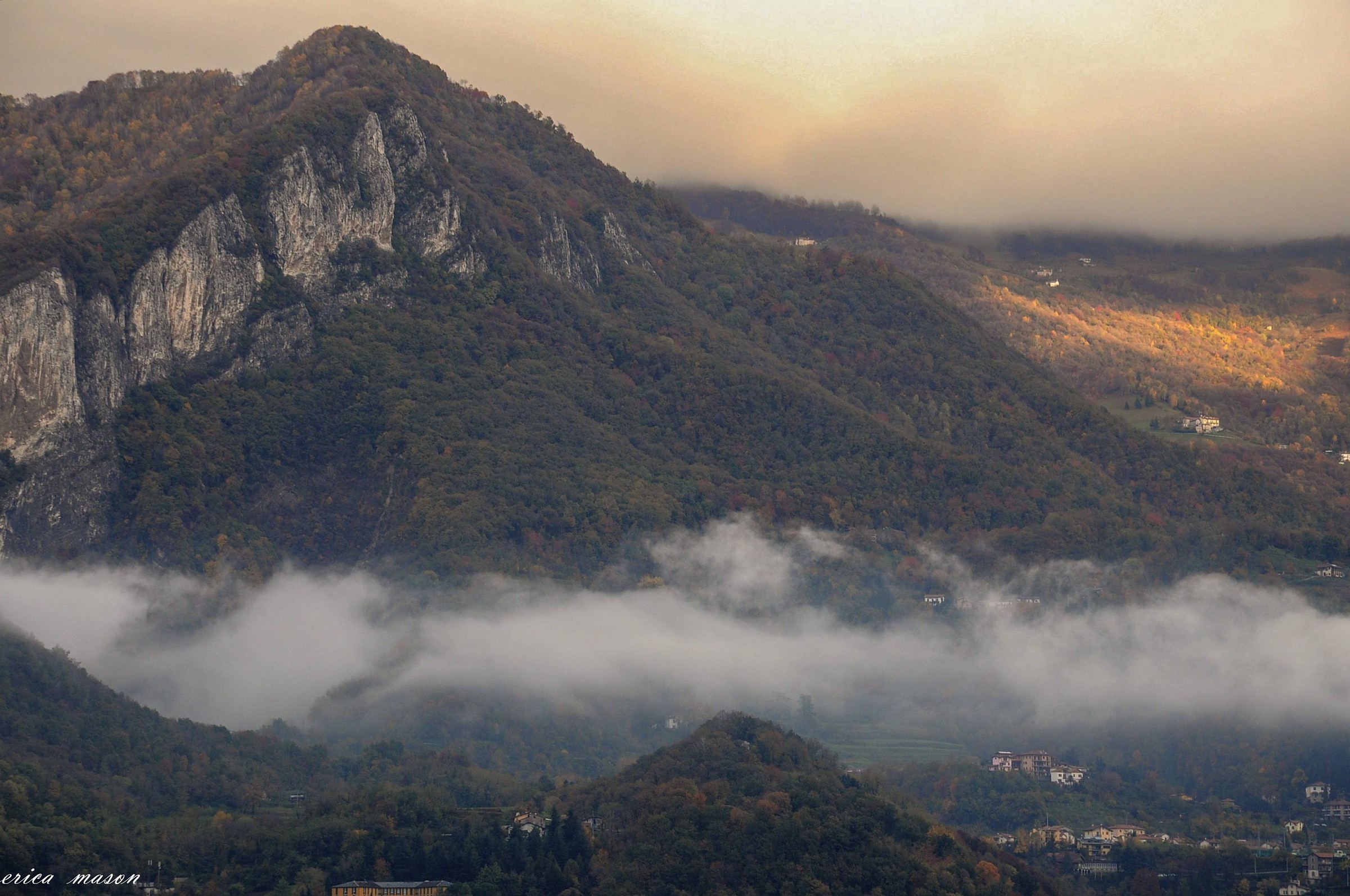 Timid ray of sunshine ... ...