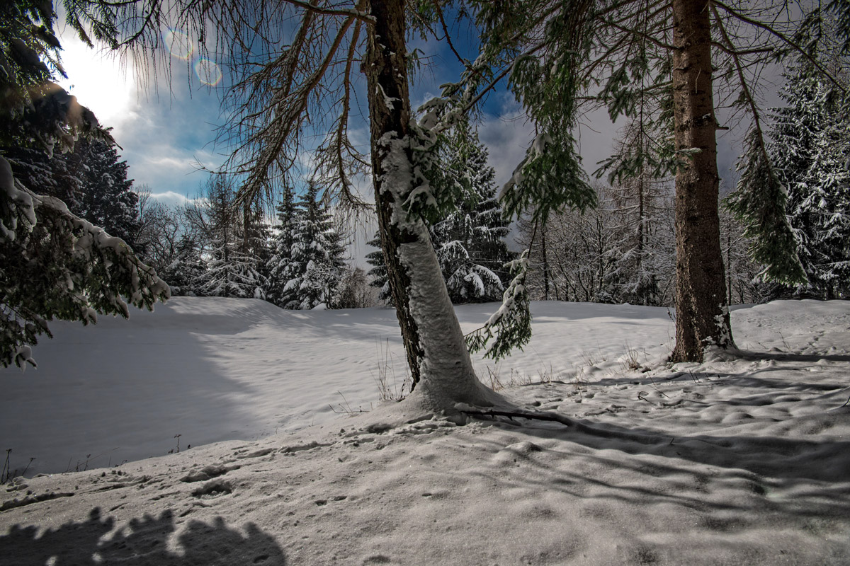 The first light after the snow
