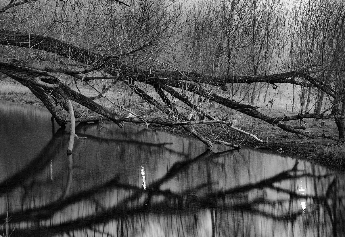 still alive - ancora vivo