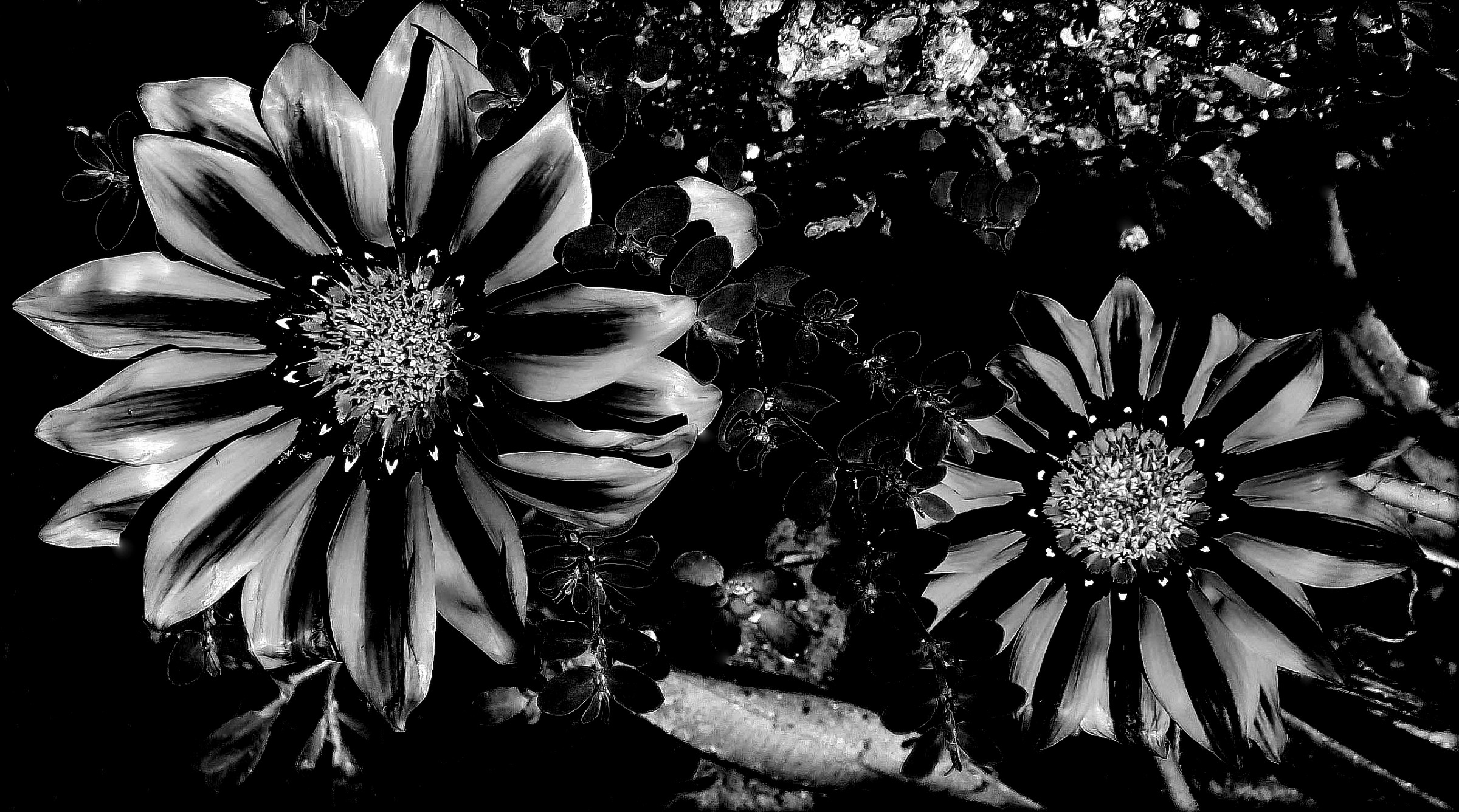 a summer flower composition in winter..................