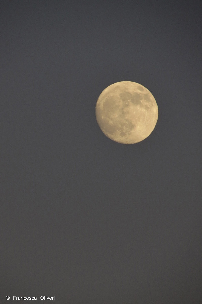 Luna