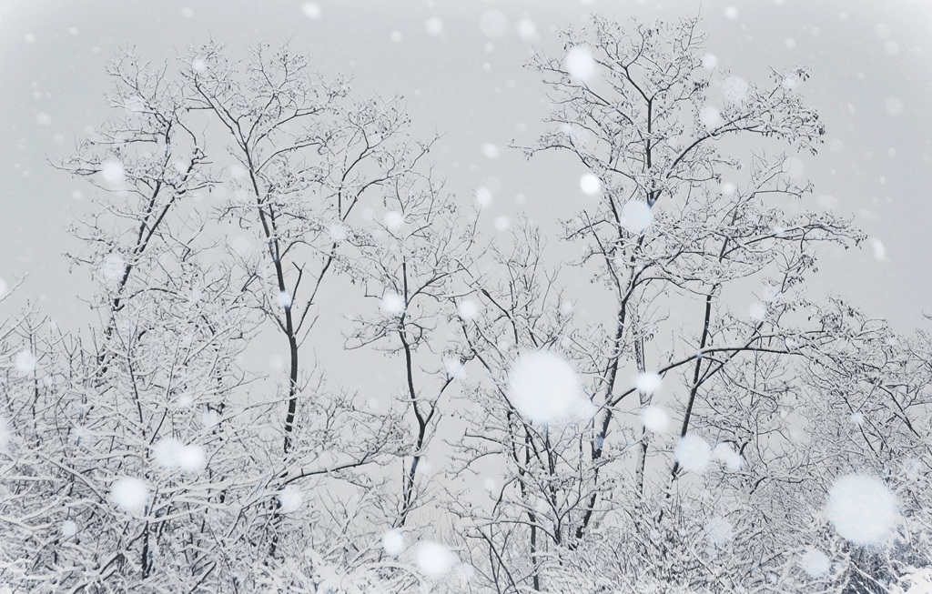 About a snowfall