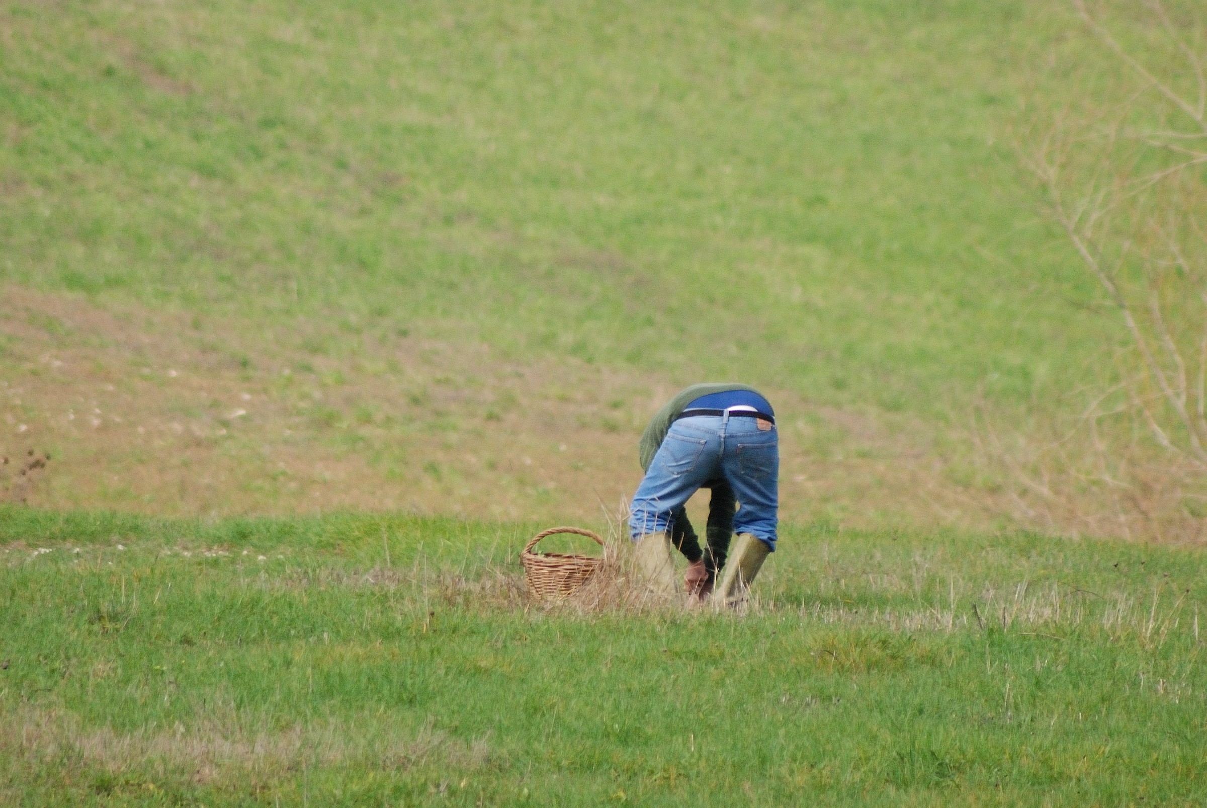 La faccia più....presentabile!!!!