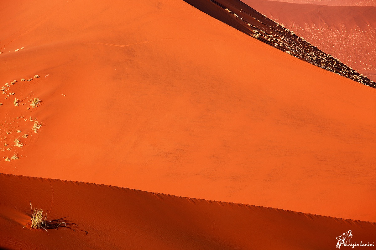 Le dune multicolore di Sossusvlei