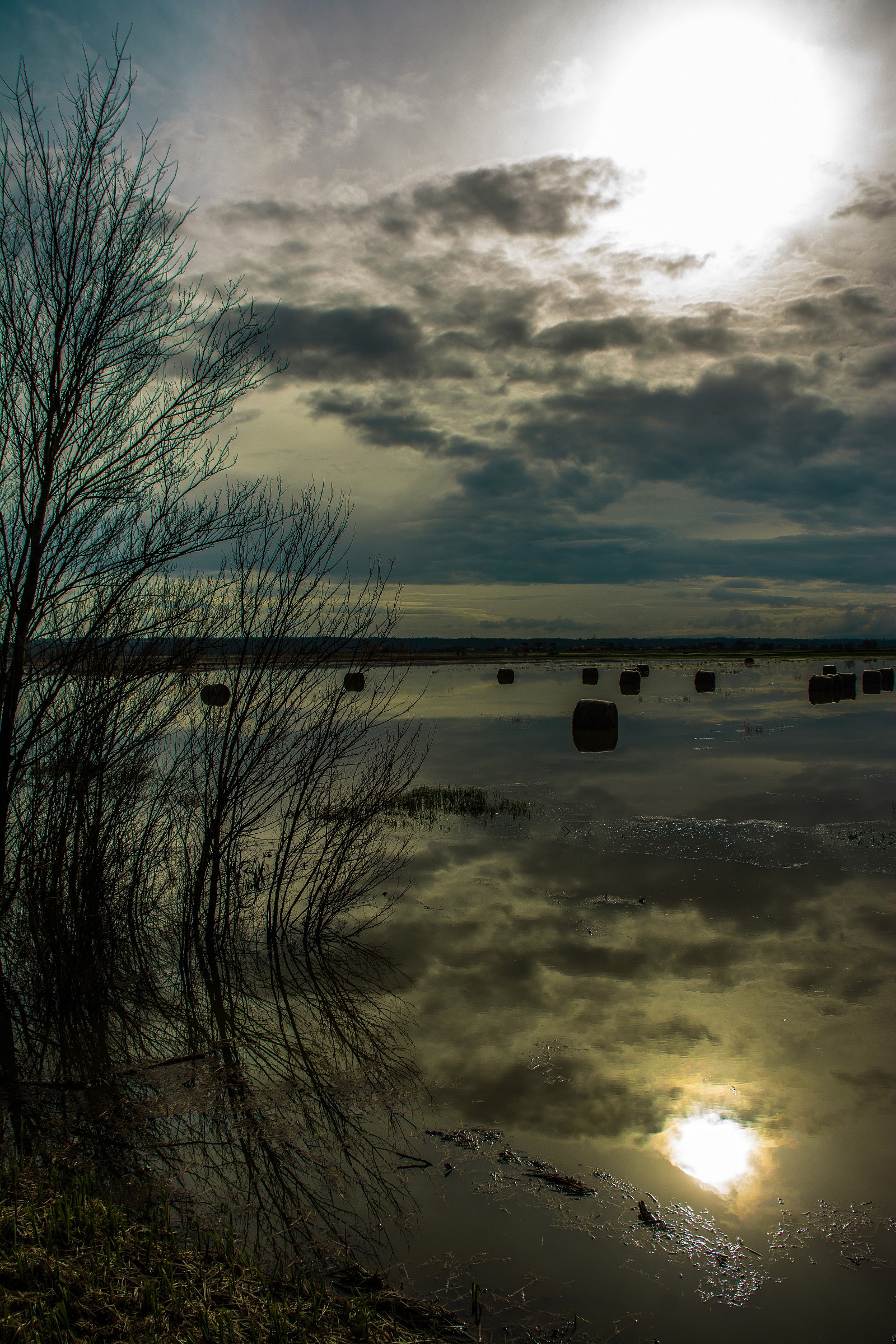Sunrise on the Marshes