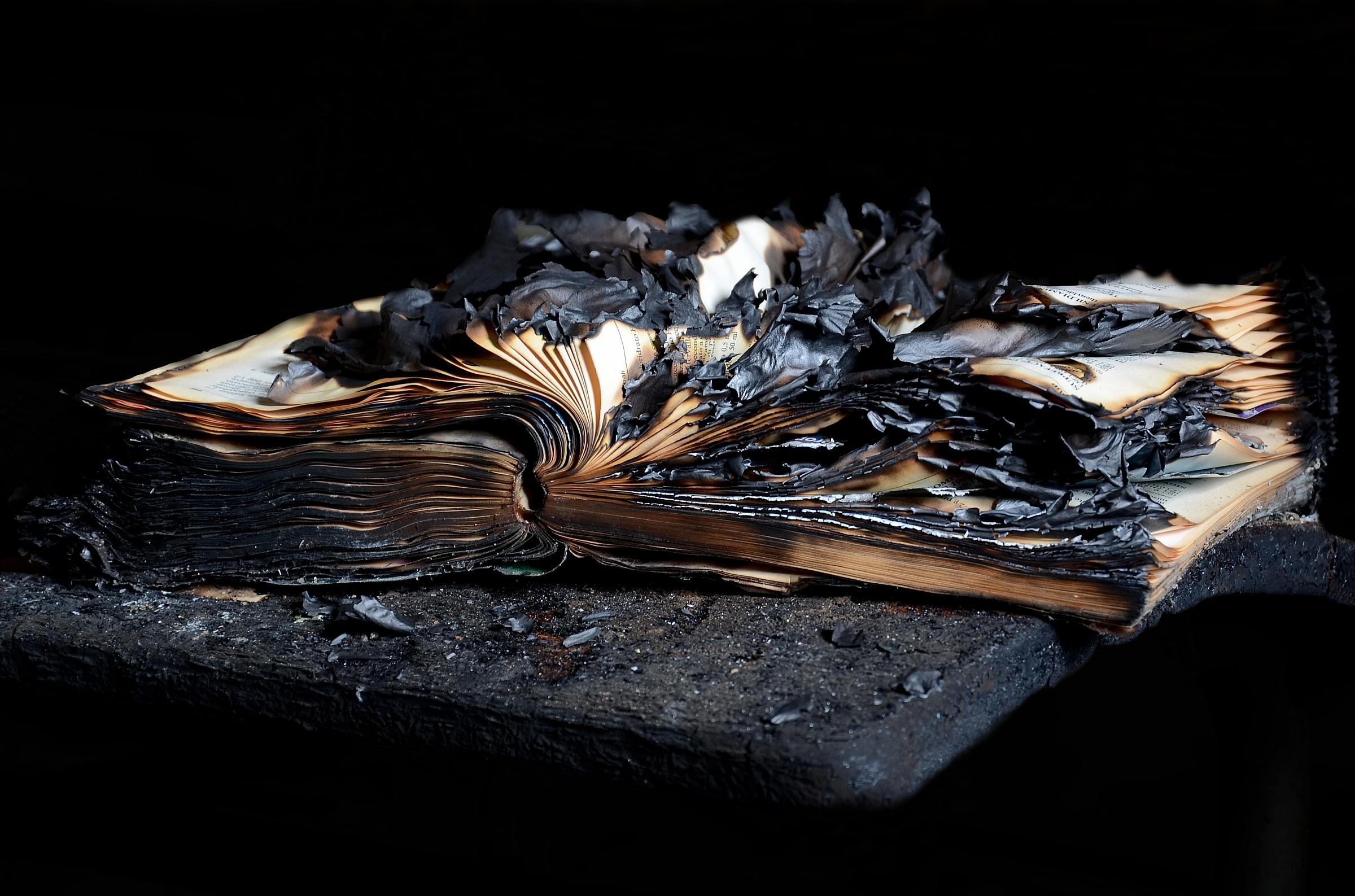 Burned book in the Ex asylum Mombello