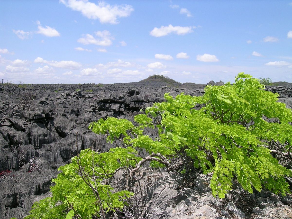 tsingy madagascar